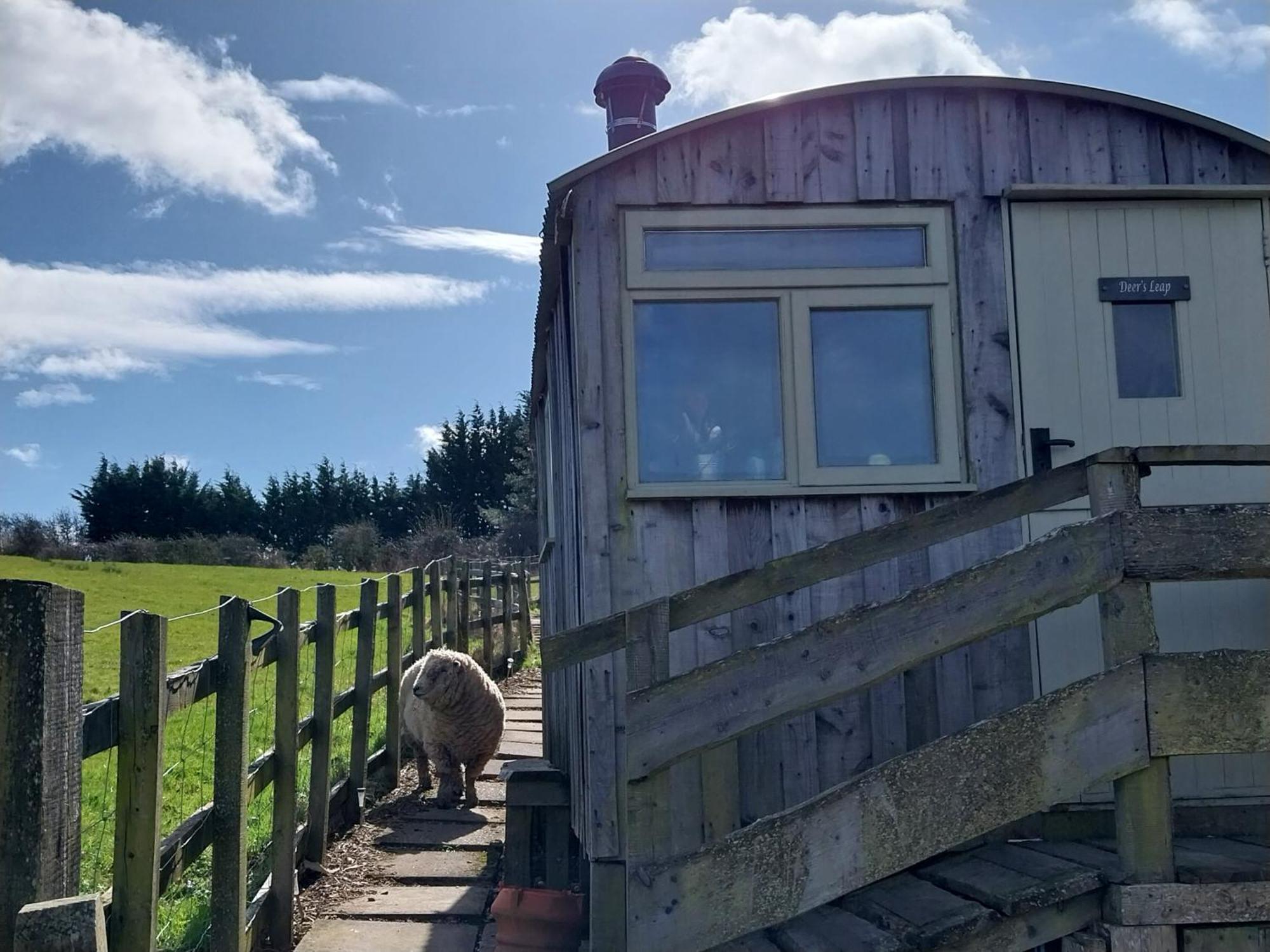 Meadowbeck - Shepherd Huts Fylingdales Exterior foto